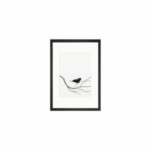 Obraz Tablo Center Birdy, 24 x 29 cm